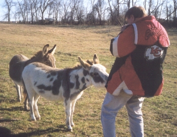 Greg photographs Cheeto & Faith, 3 asses all together