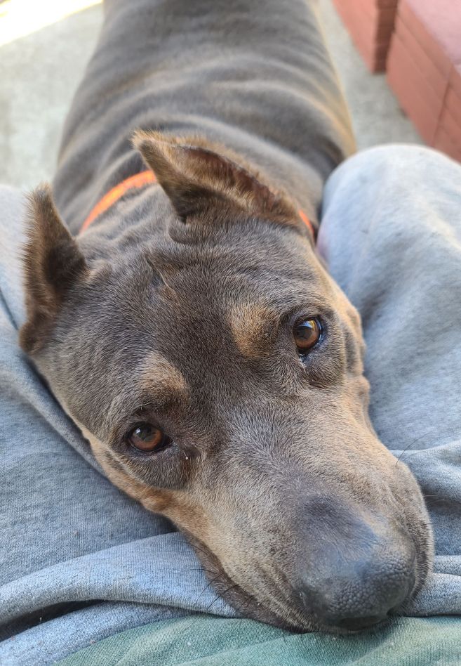 NaNa looking appreciative