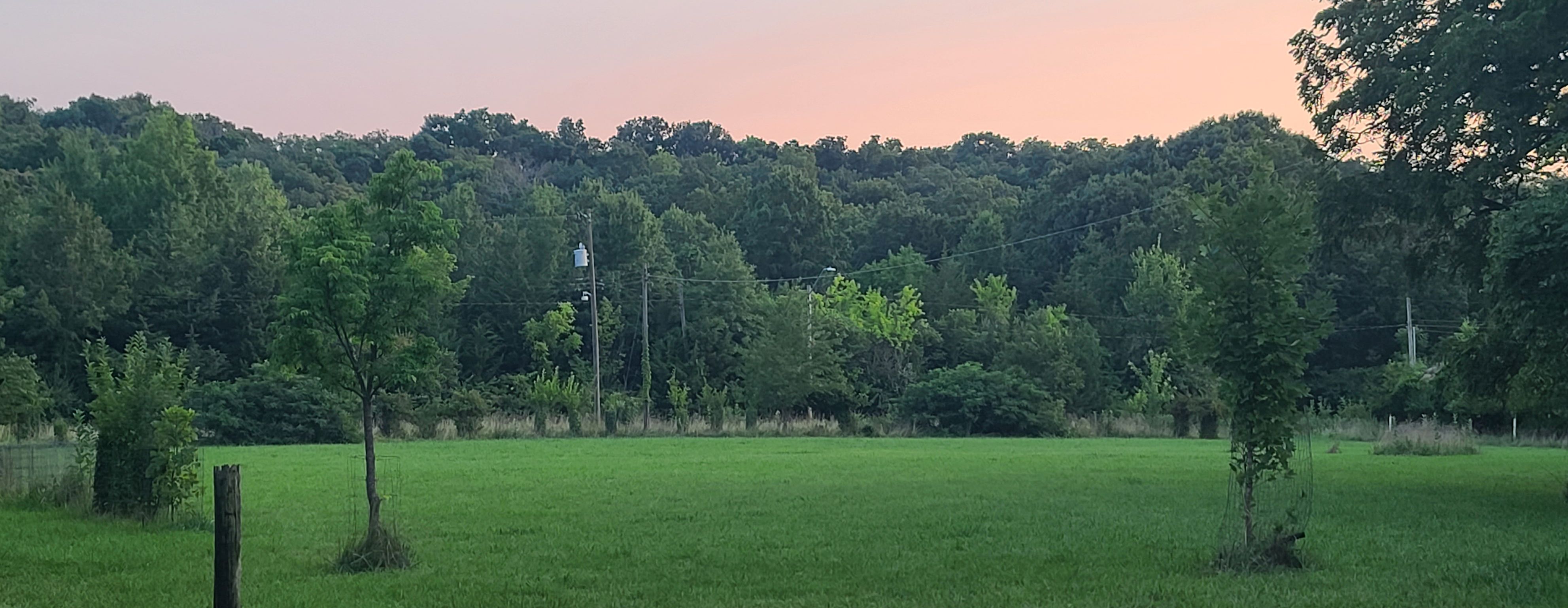 Field at Original Property