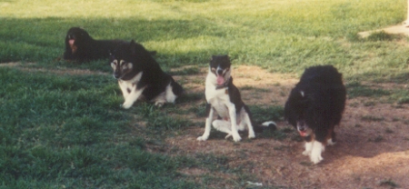 Zeppelin With departed friends