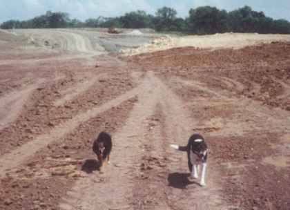 Parker & Zeppelin inspect 150 Highway