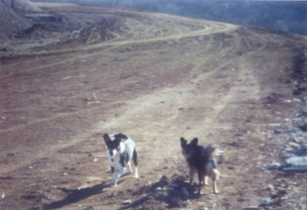Parker & Zeppelin inspect 150 Highway